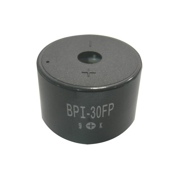 BPI-30FP / 인투피온